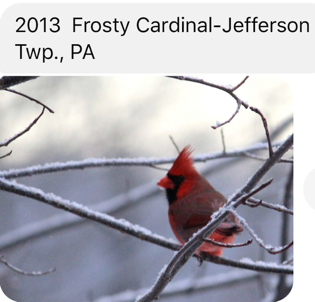 2013 Frosty Cardinal- Jefferson Twp, PA