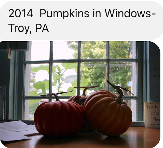 2014 Pumpkins in Windows-Troy, PA