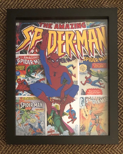 The Amazing Spider-Man, 8 x 10, $25