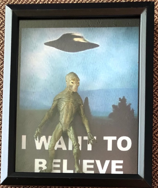 I want to believe, deep 8 x 10, $40