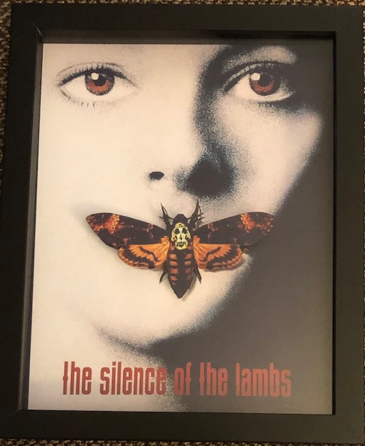 Silence of the Lambs, 8 x 10, $25